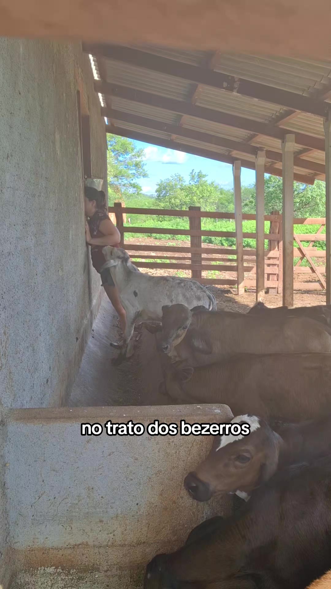 @fabiana