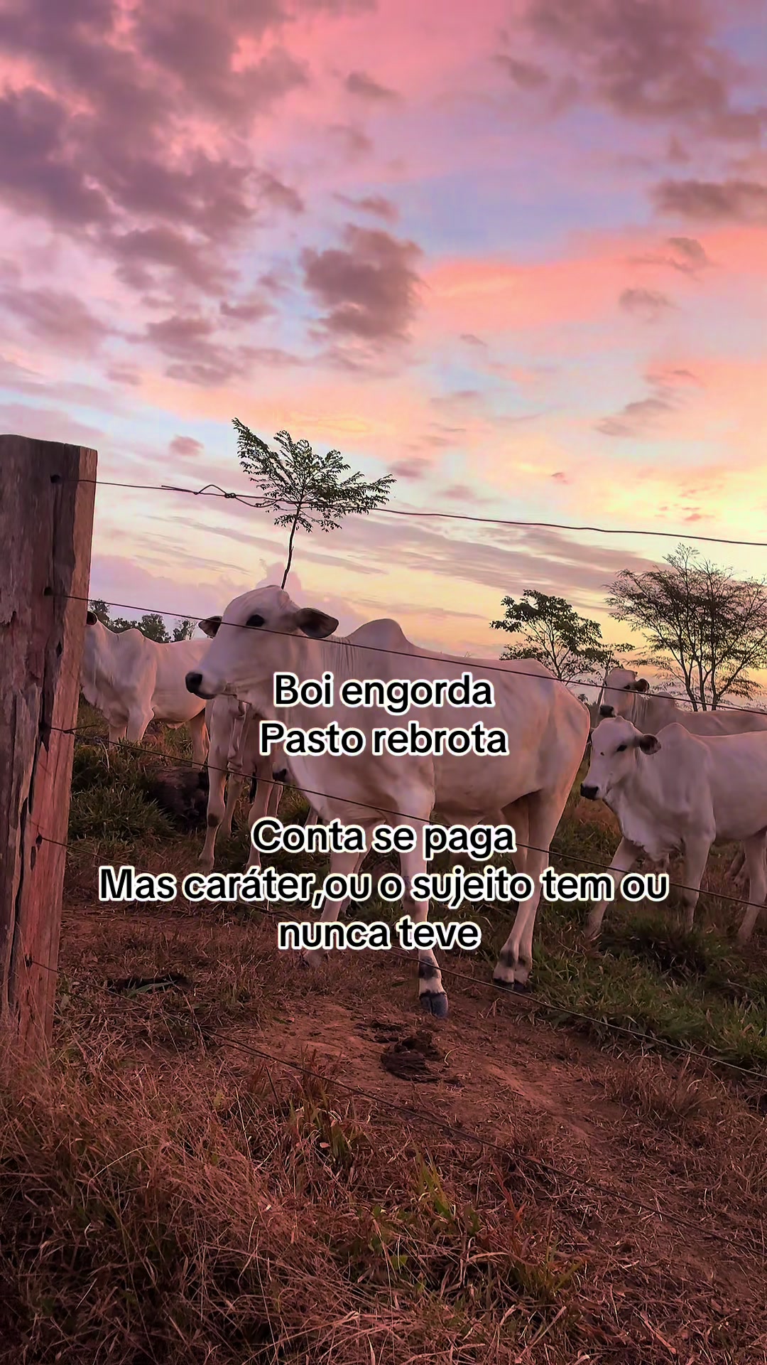 @lukasvieira_🍀