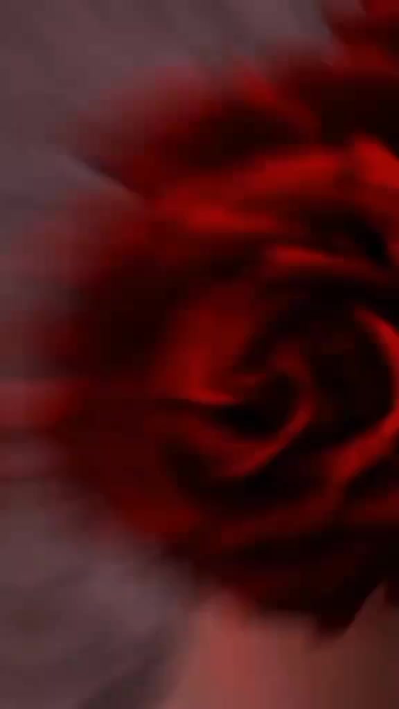 @silent