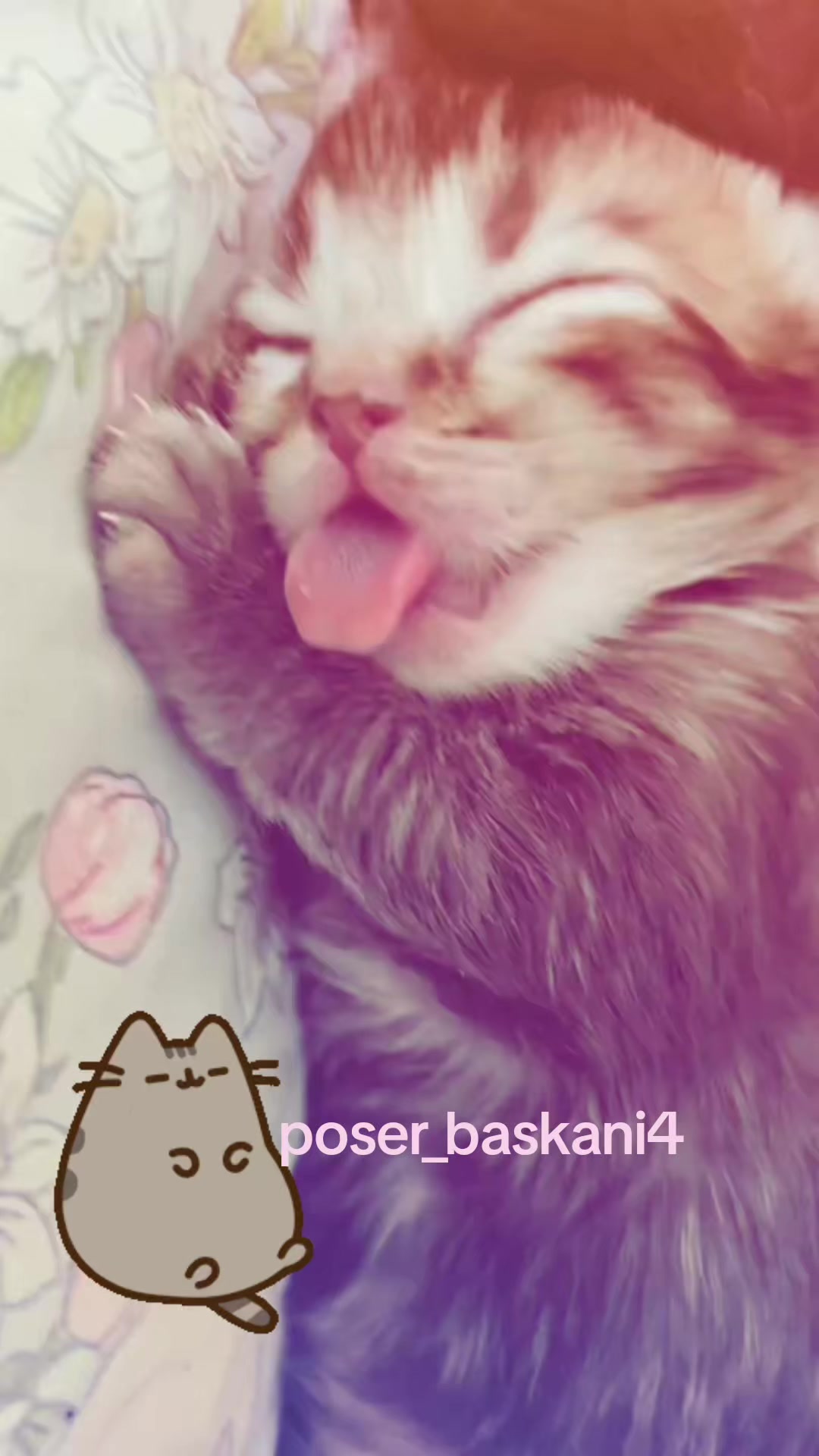 @poser_baskani4