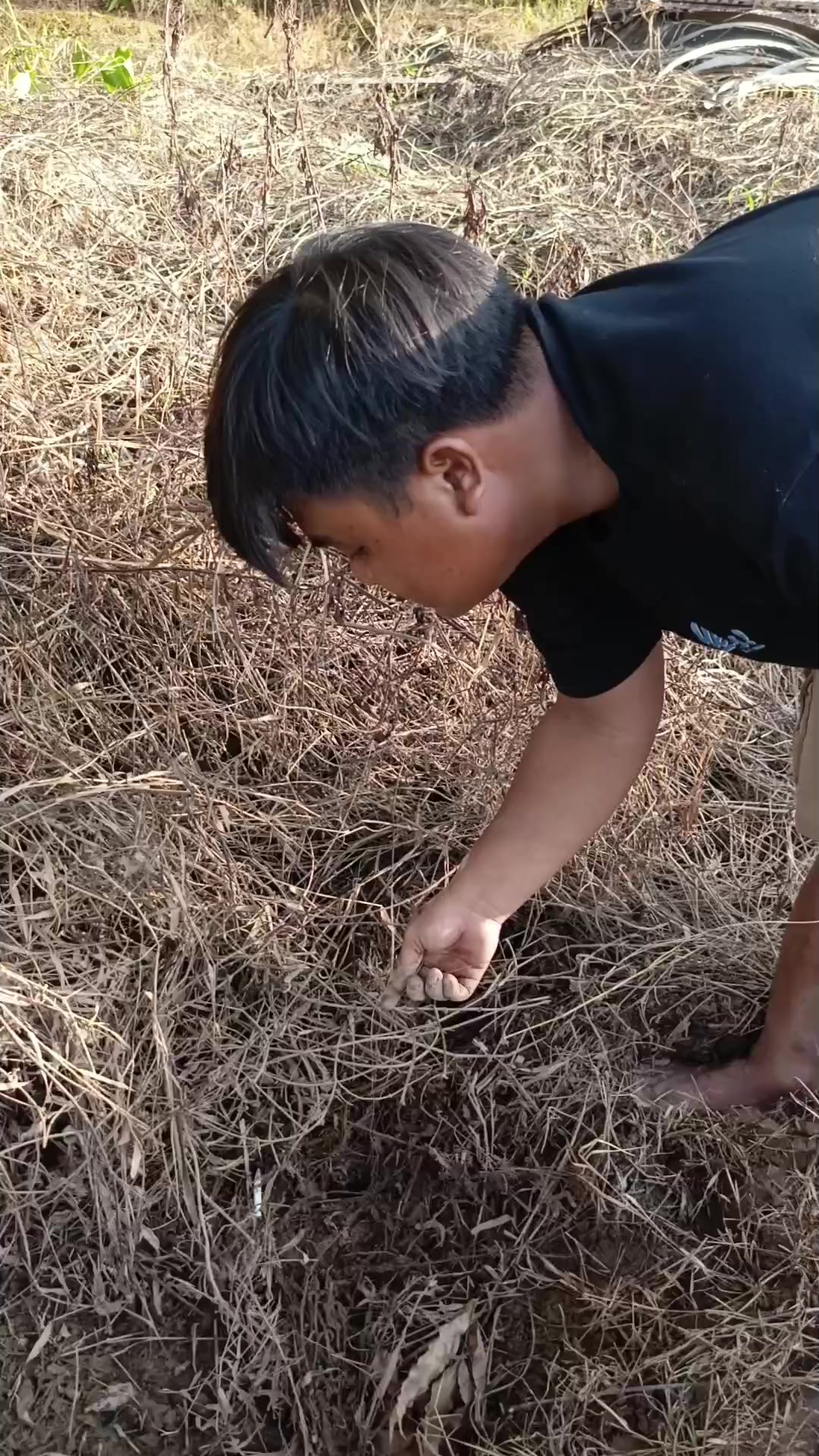 @Suarrez Master Kangkung