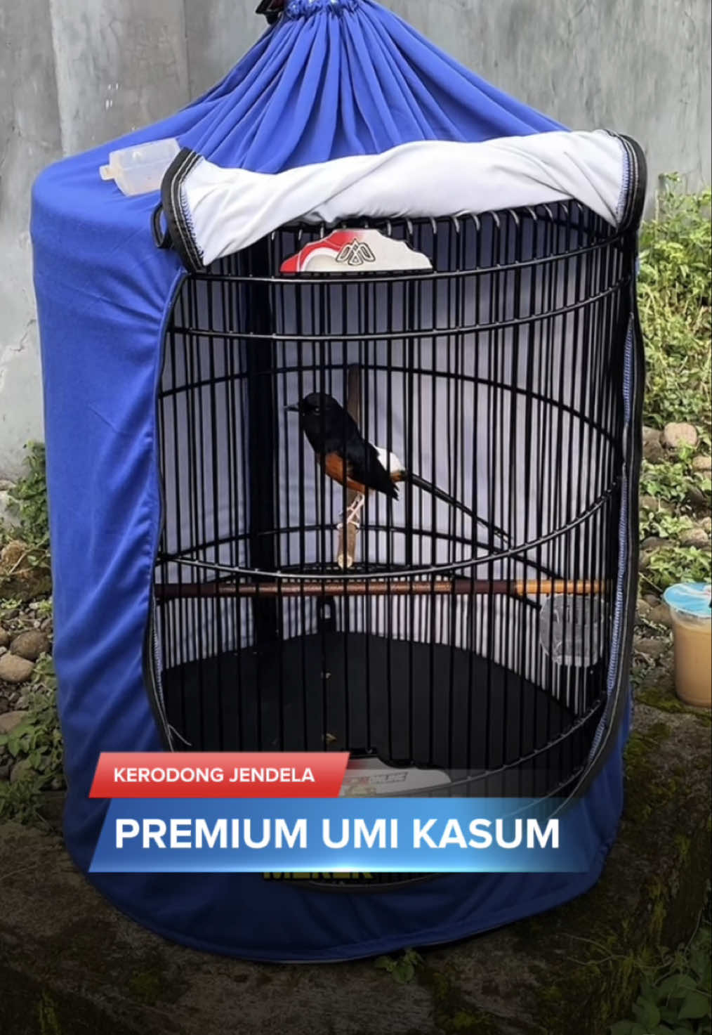 @KICAUNESIA ONLINE