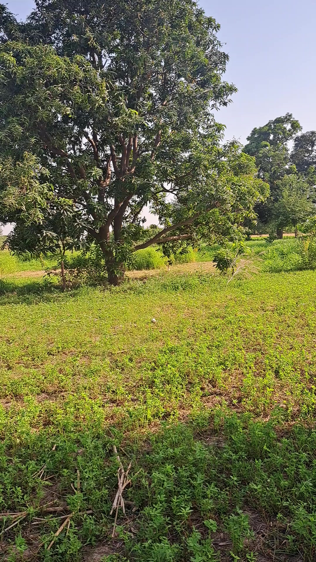 @Malik Kashi