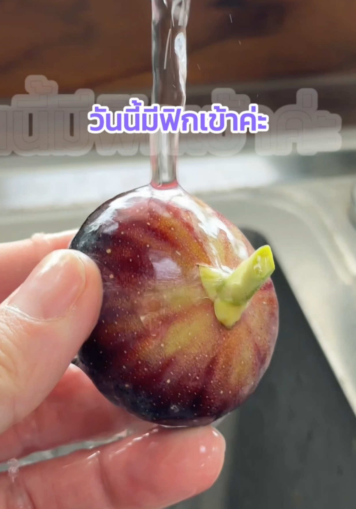@Madame Fruit ผลไม้ต่างประเทศ