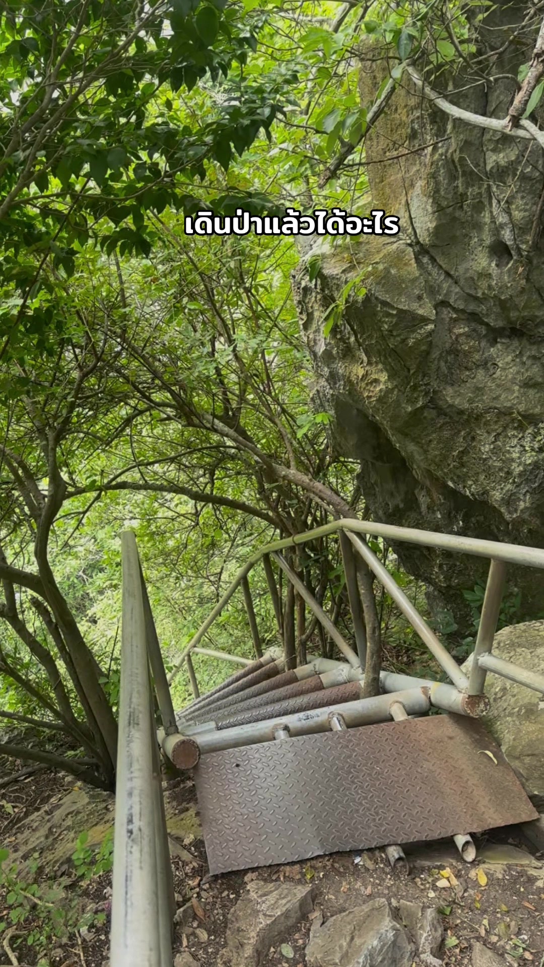 @แอนนา ชิดาพาเพลิน