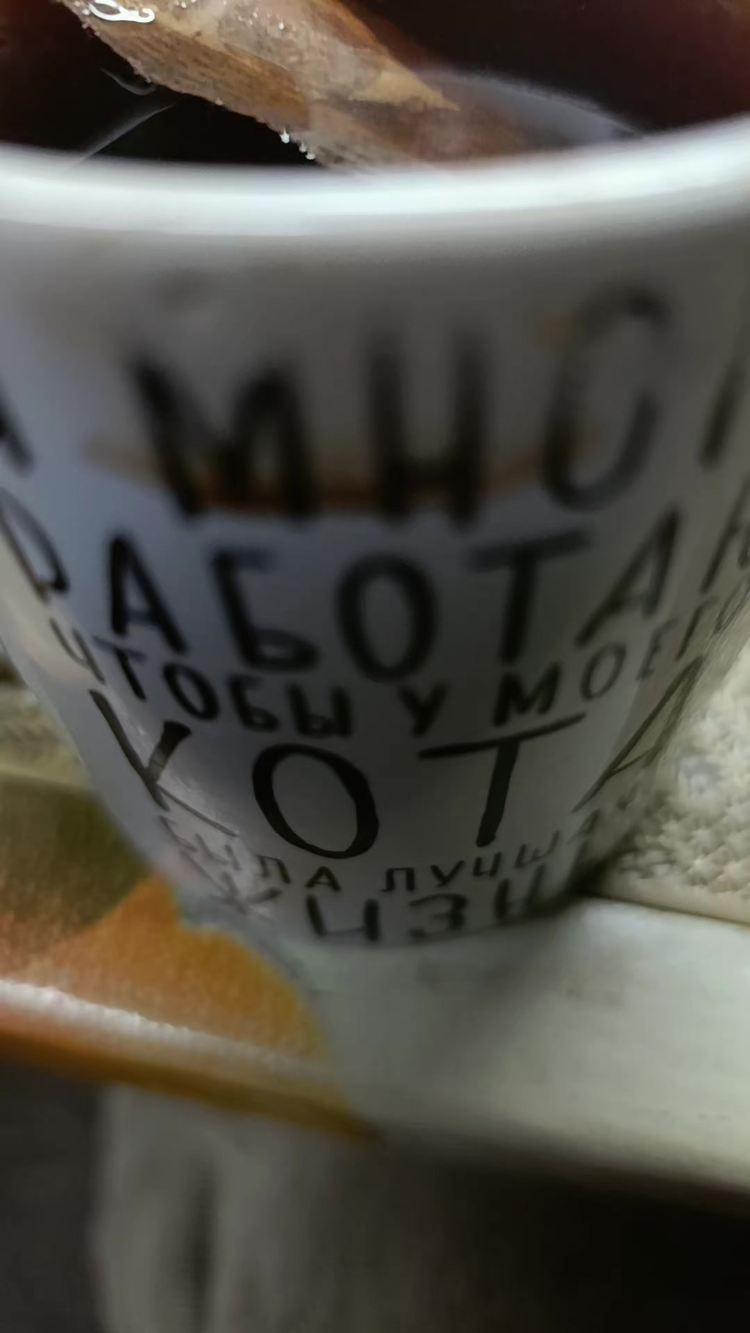 @Кіса😸