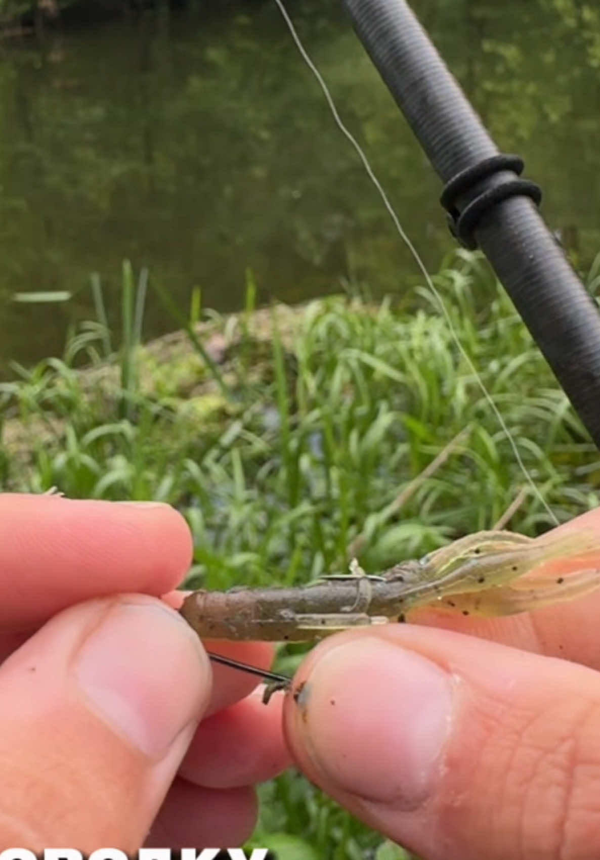 @𝗧𝗚.𝗗𝗬𝗫𝗙𝗜𝗦𝗛🎣