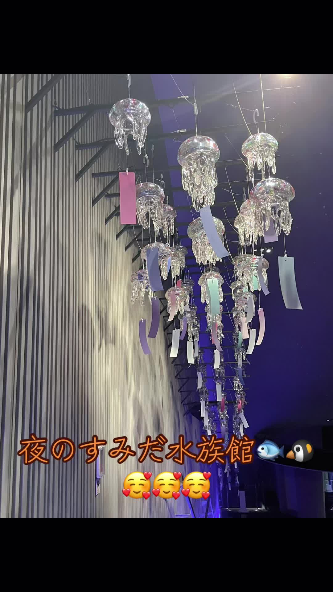 @たまクラ🪼🌙(`・ω・´)ゞ
