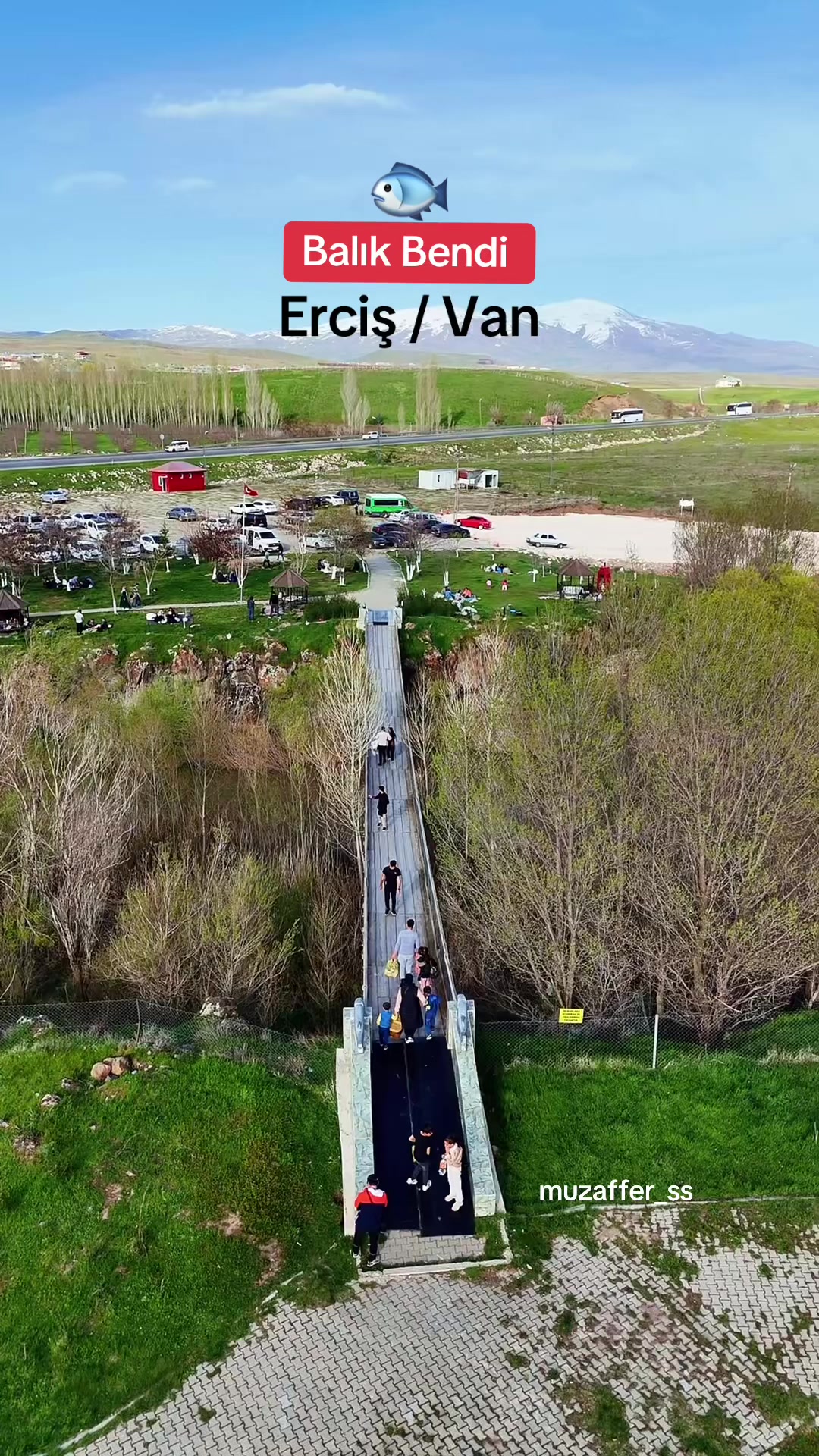 @Muzaffer Salcıoğlu