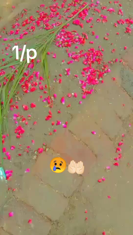 @Ali. HAMZA 1p