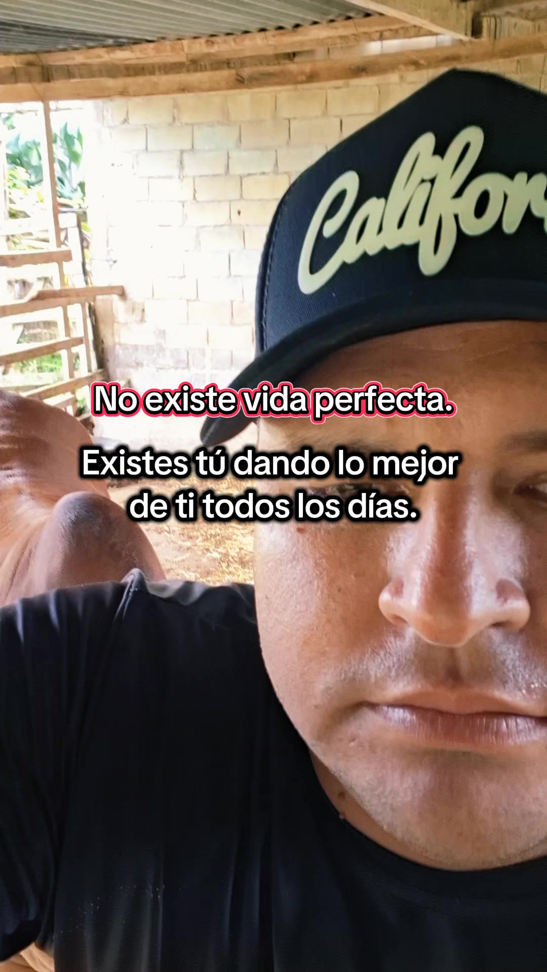 @Javier Alexis Agudel