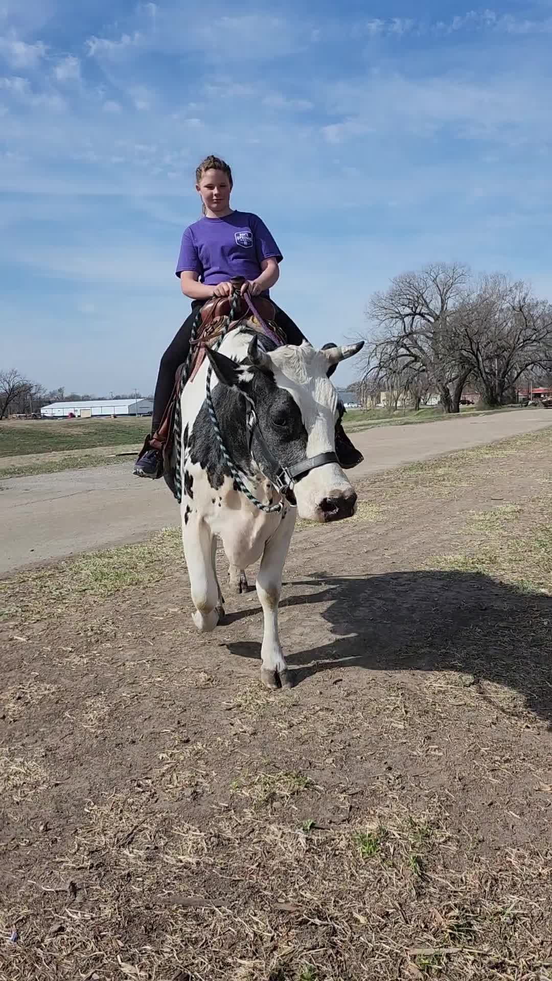 @Only Cows