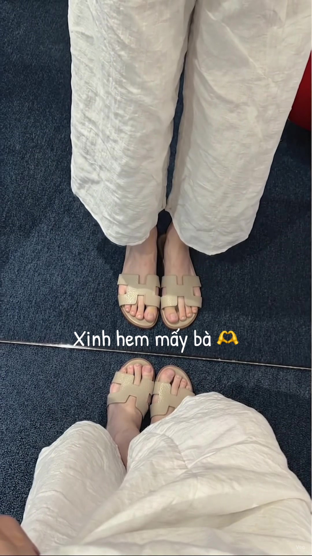 @Quả Nho To 𝓻𝓮𝓿𝓲𝓮𝔀 🍇