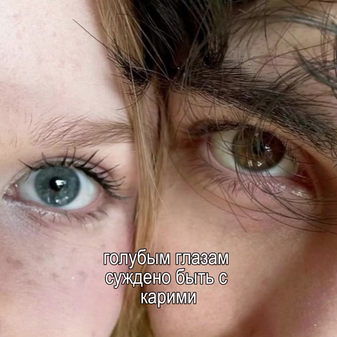 @mertvaya.