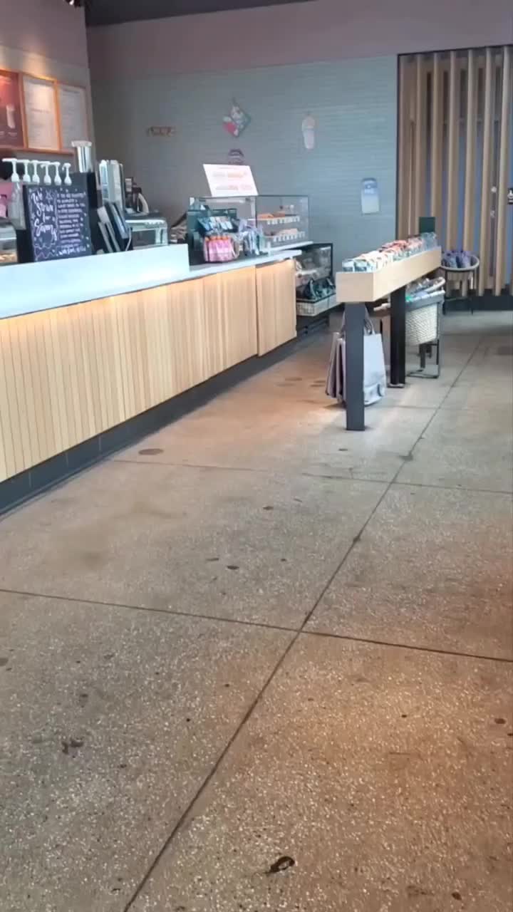 @el panda solitario