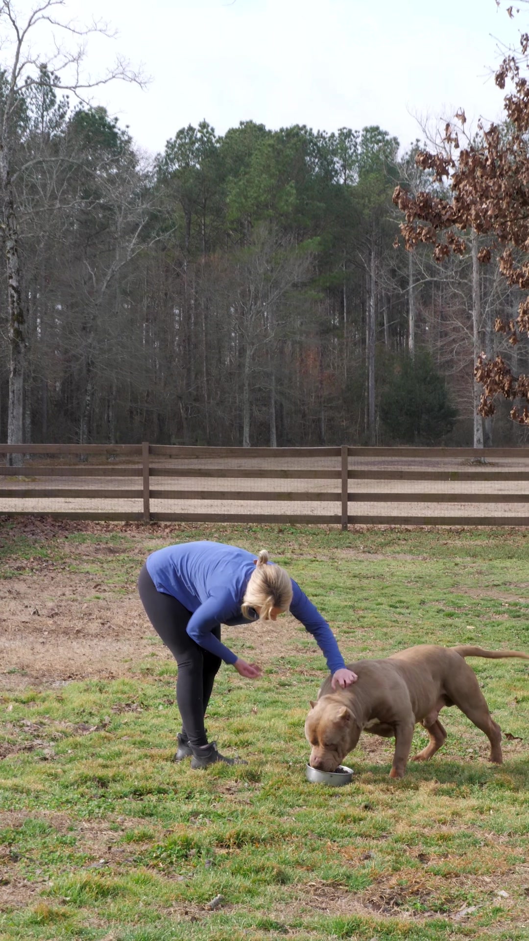 @GatorHeadBullies