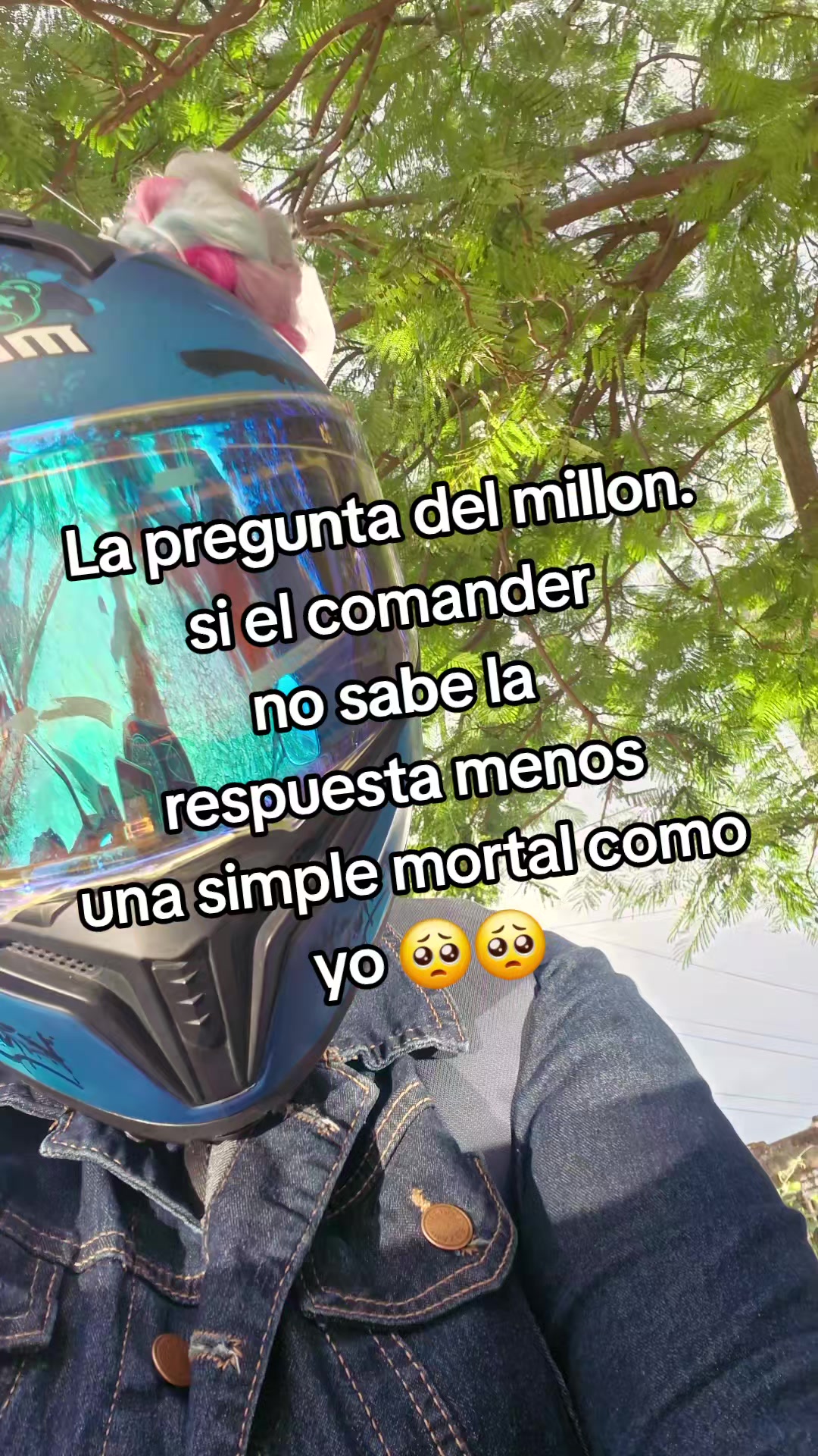 @Meredith Cano