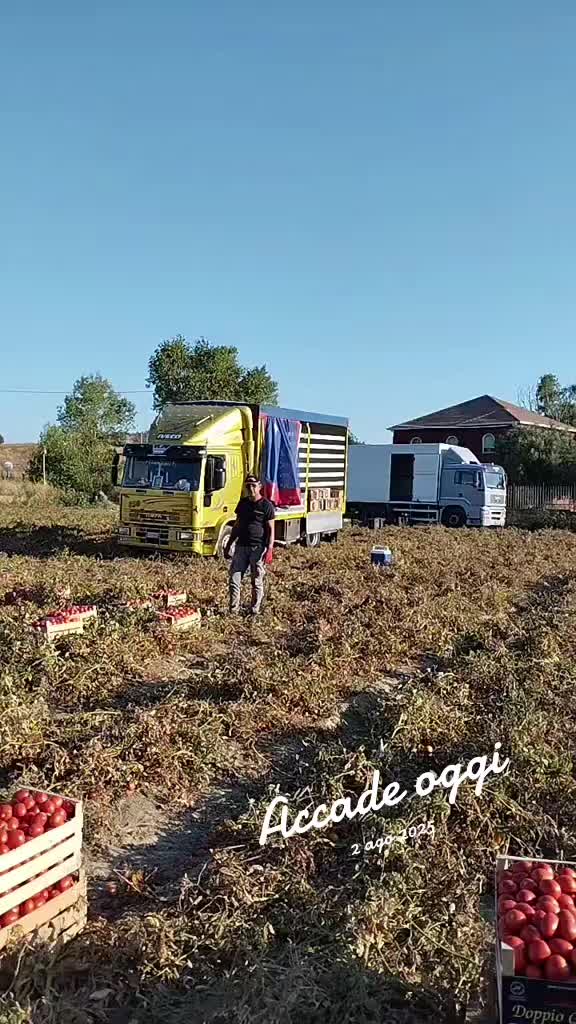 @Nicola Manetti