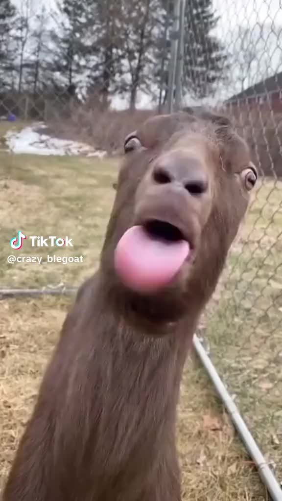 @el fan del uno
