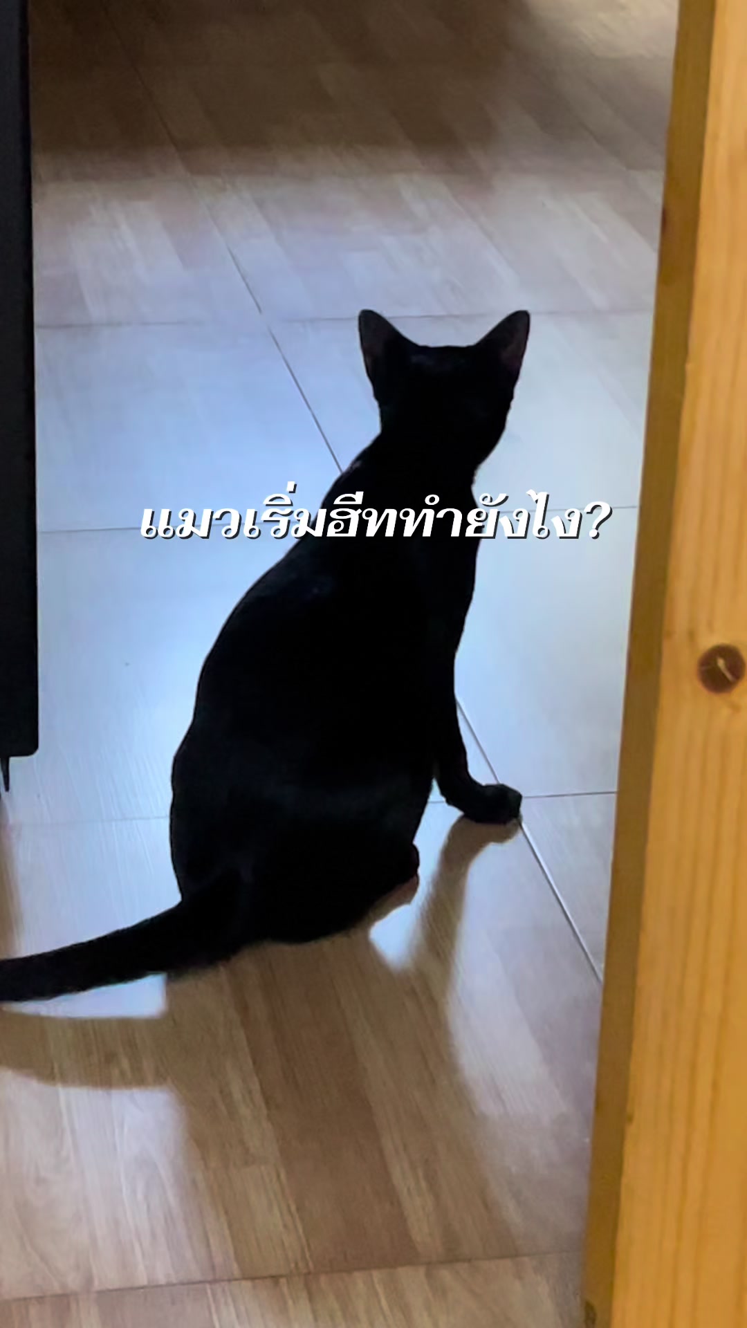 @KaoYhong