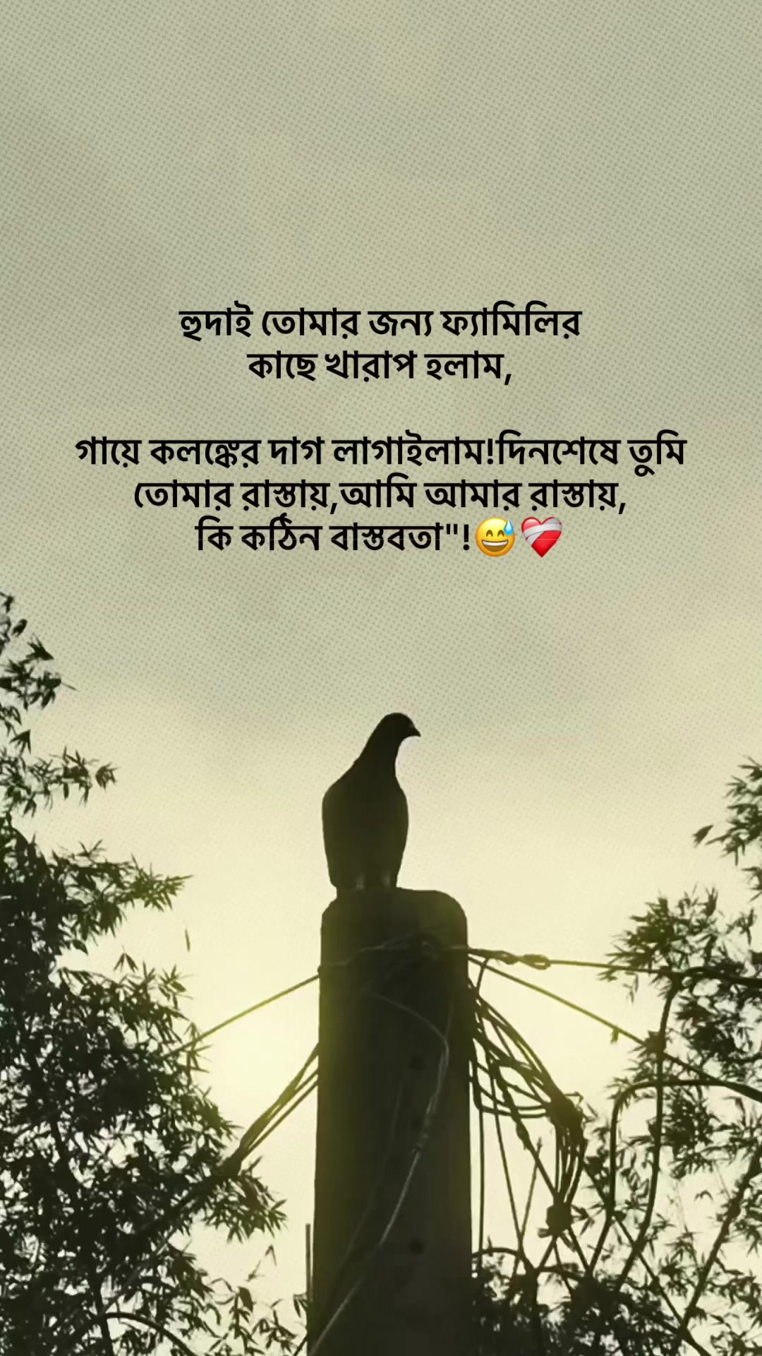 @the_spydoo🕸️ 🥏