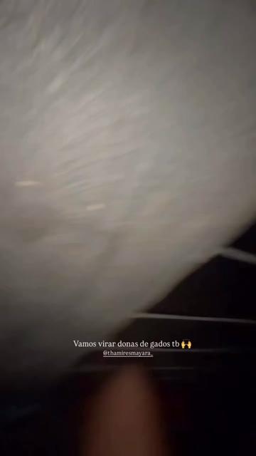 @Thamires