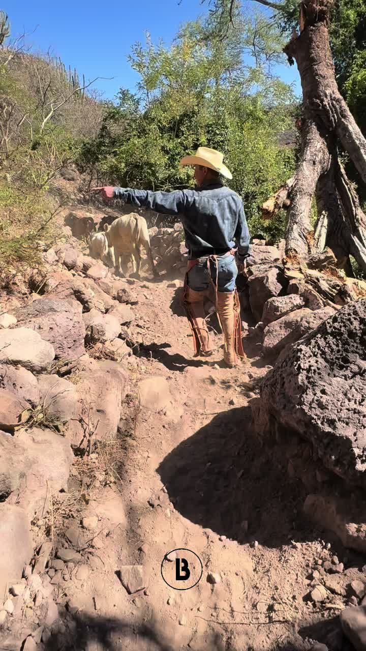 @El zurdo🌵🐴