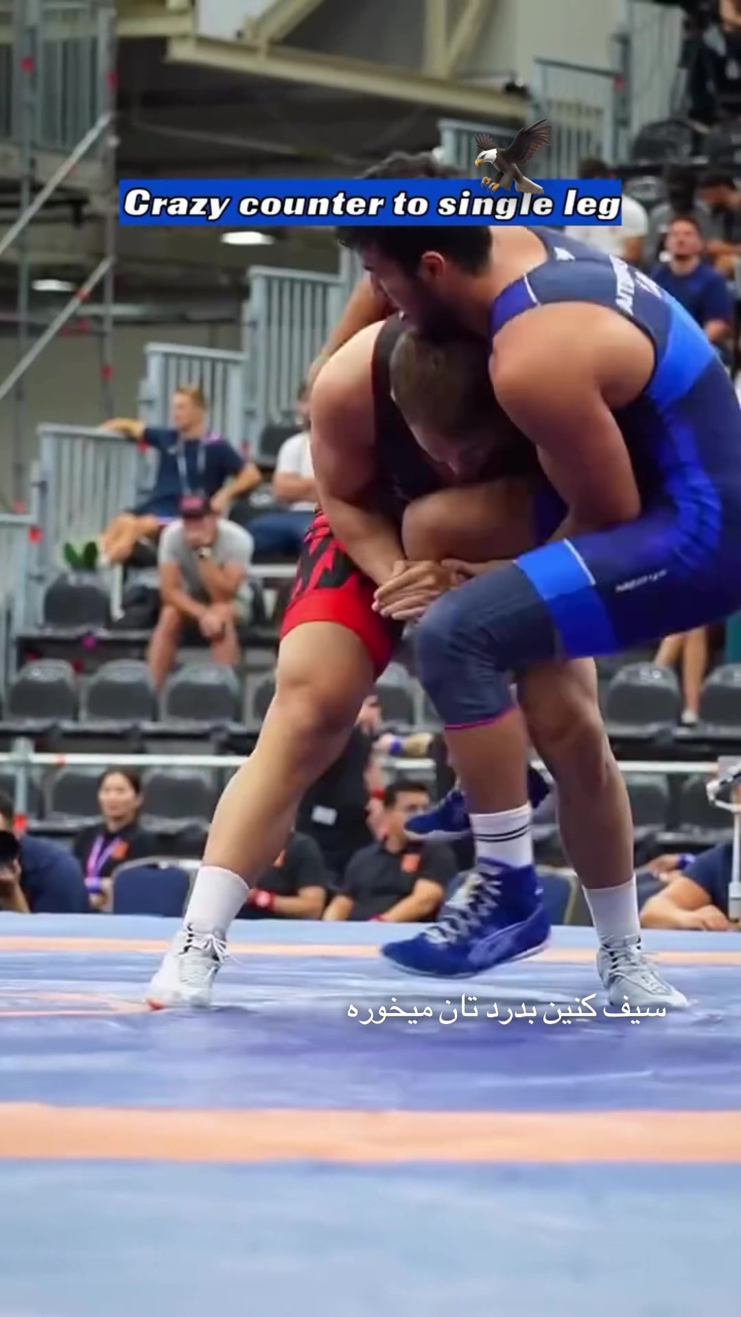 @Wrestling page