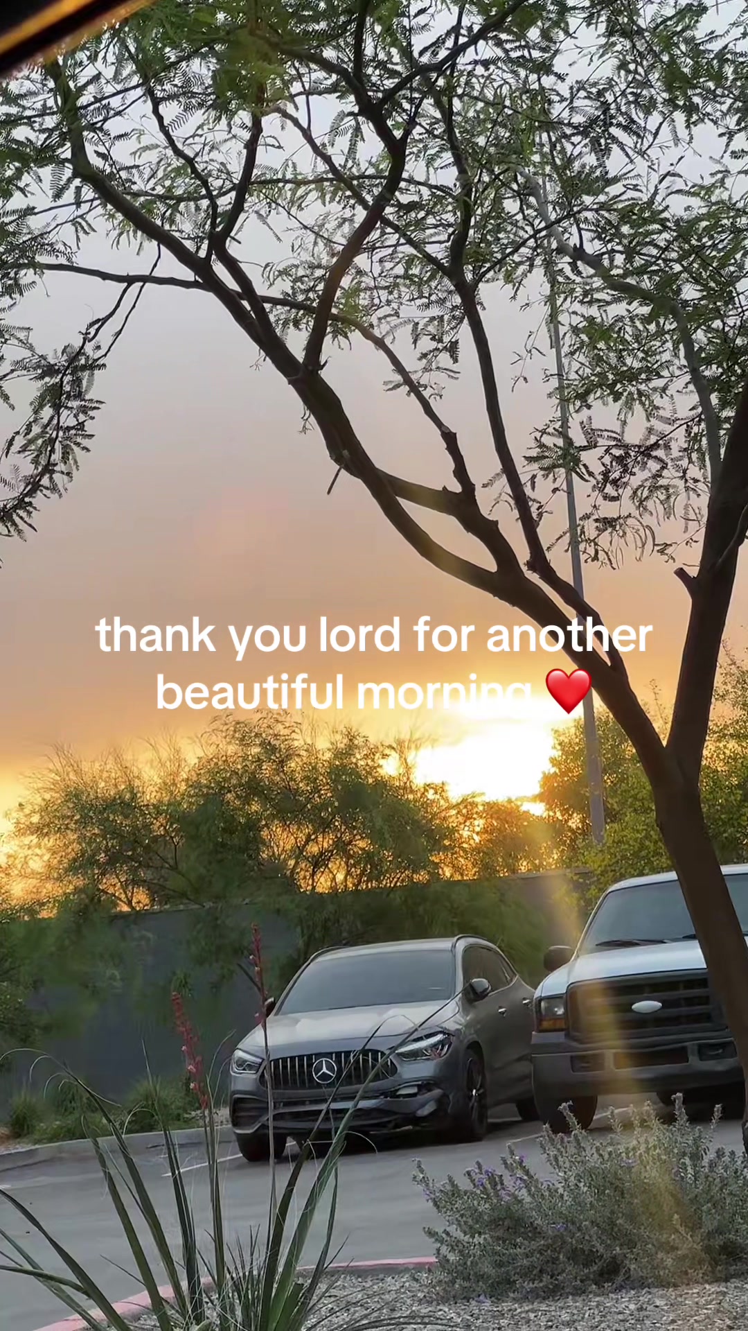 @carmen garcia