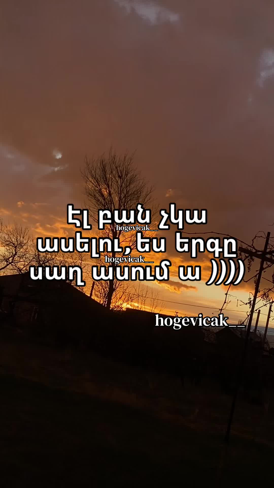 @hogevicak___