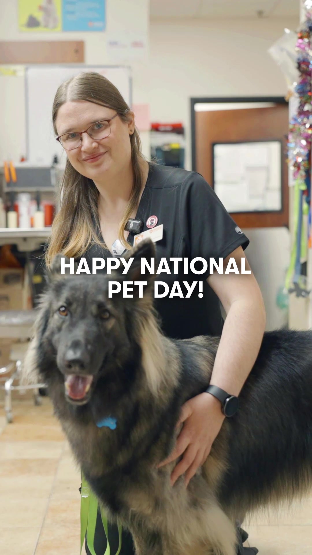 @banfieldcareers