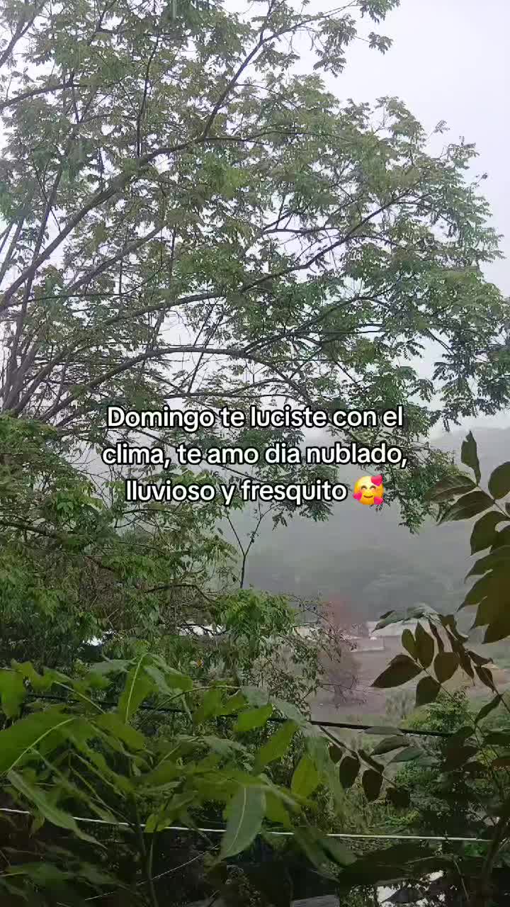 @Flor de María✨️