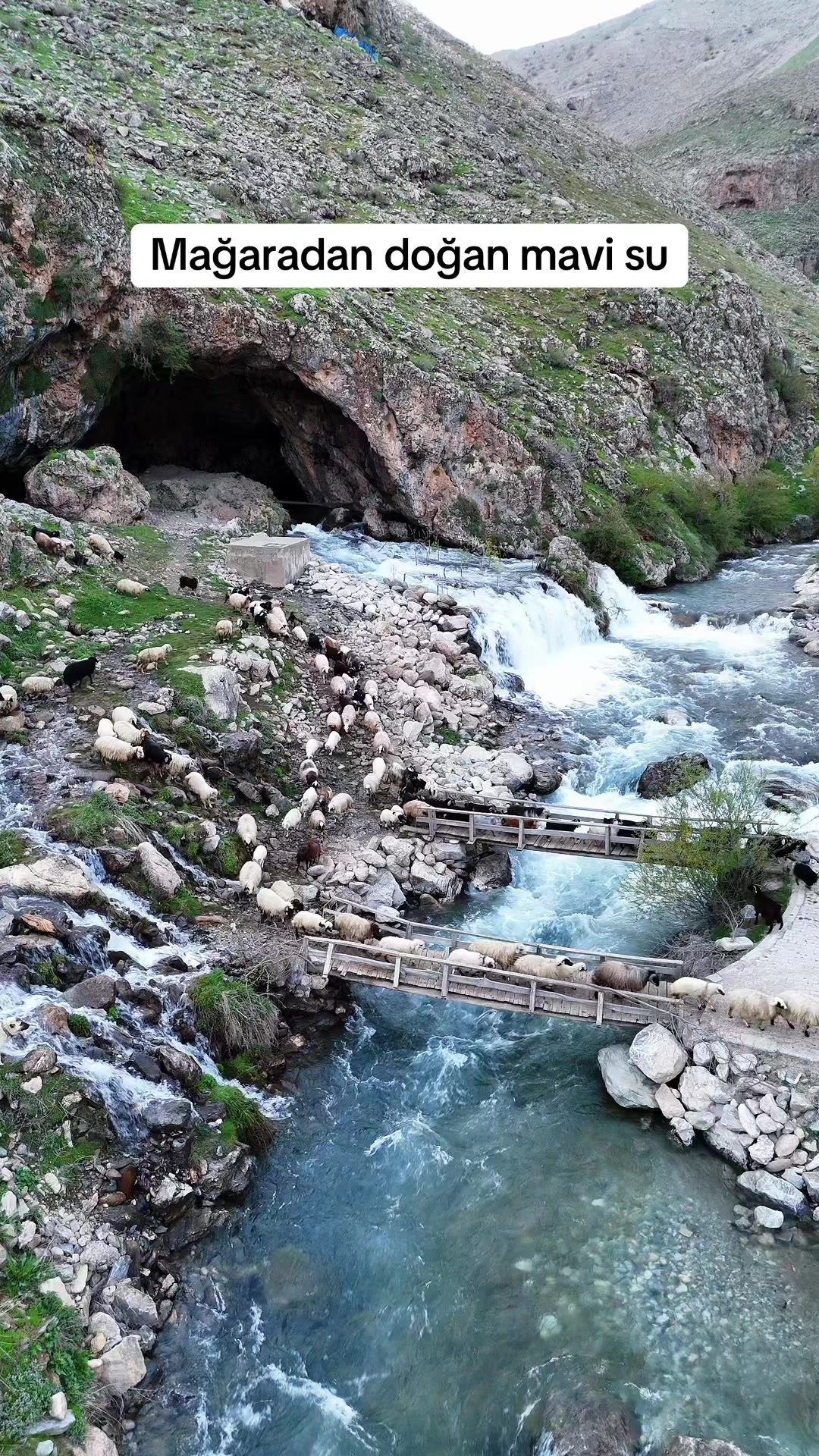 @Muzaffer Salcıoğlu