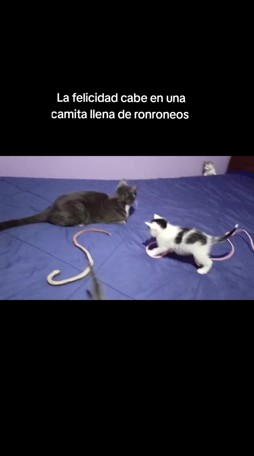 @Merceditas