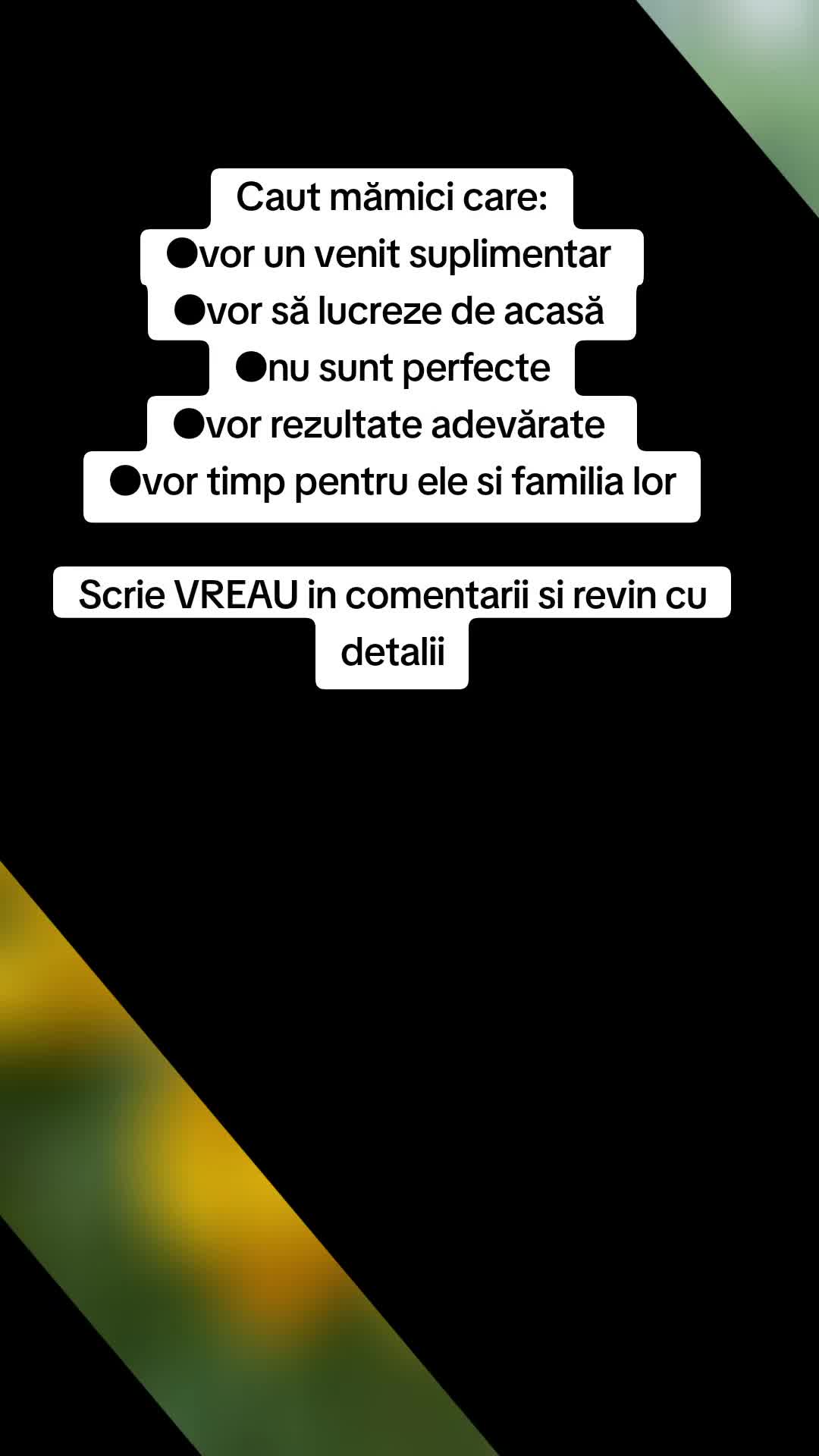 @Raluca RaLu