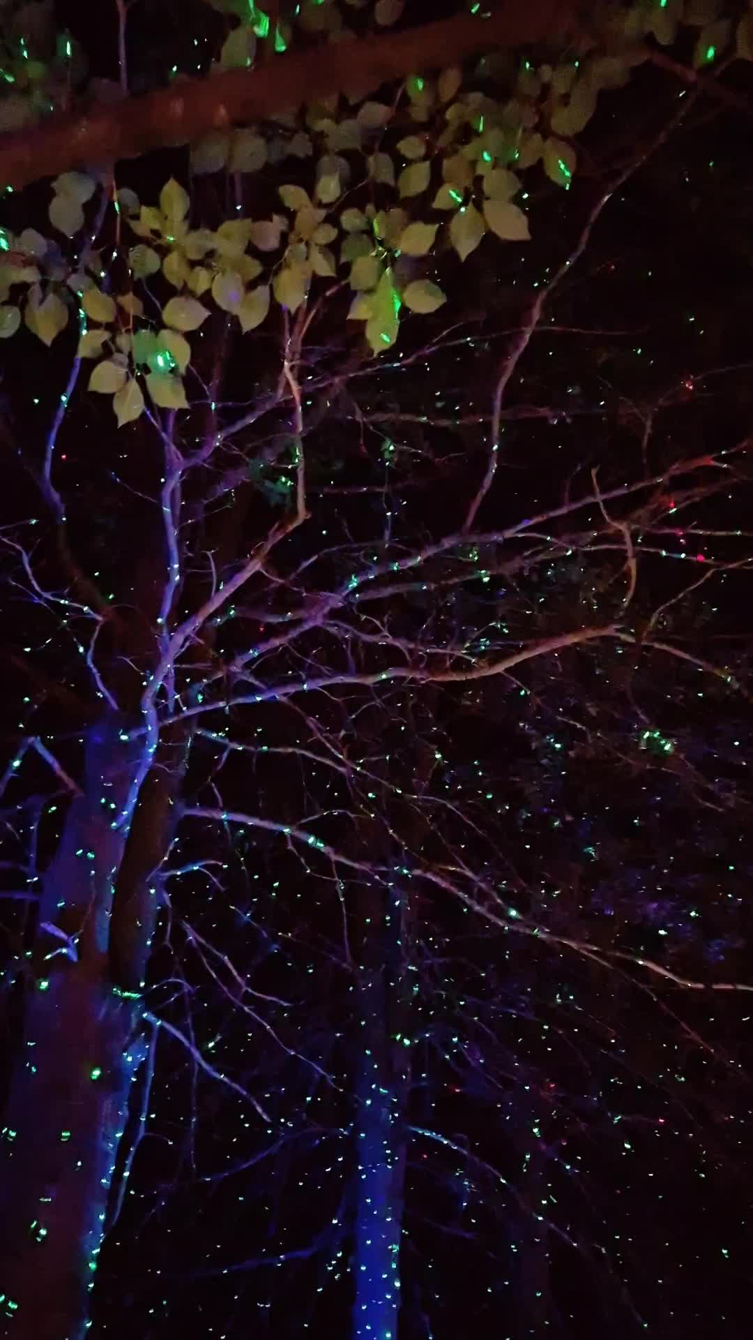 @캔디