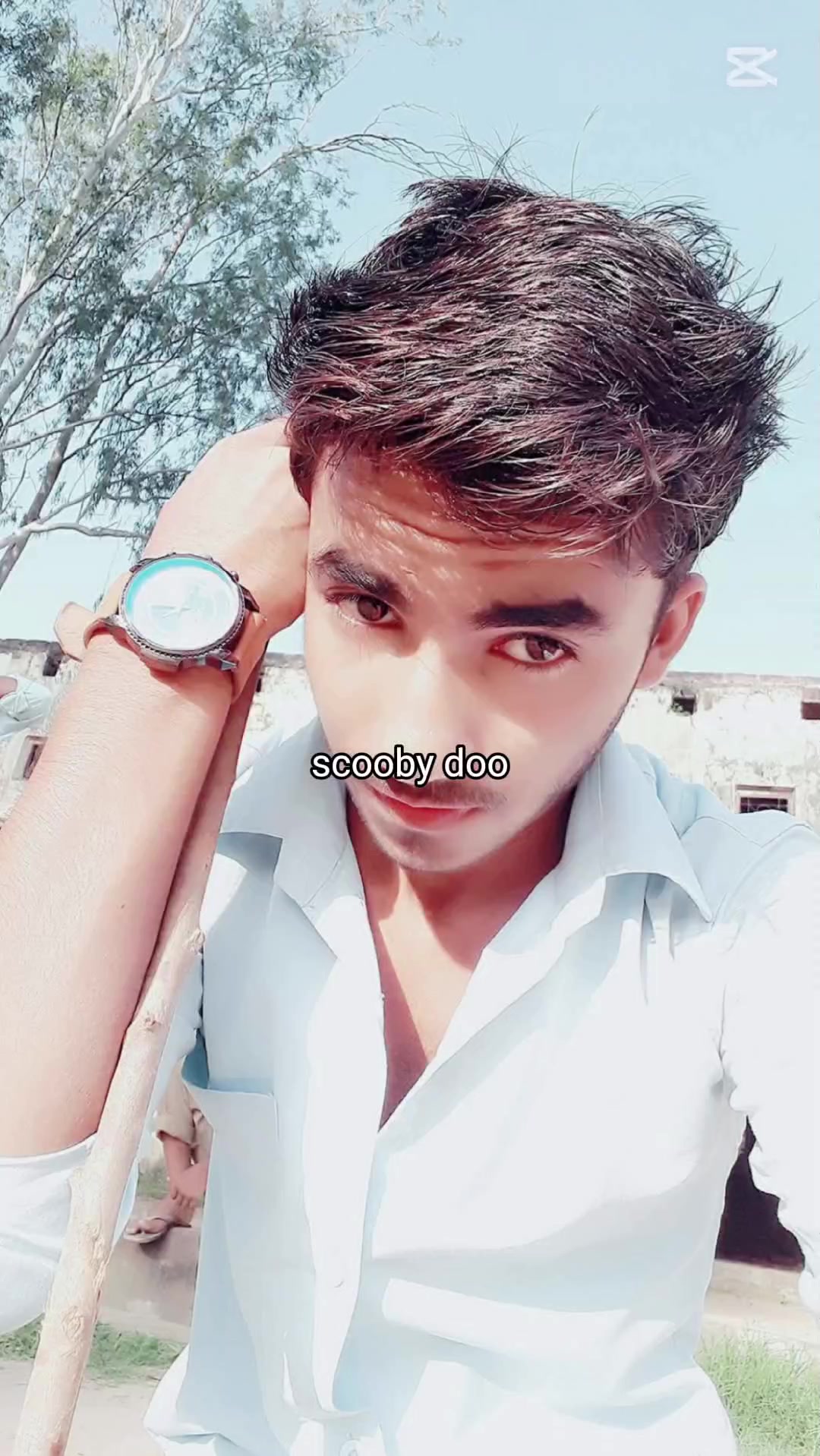 @Shayaan Malik