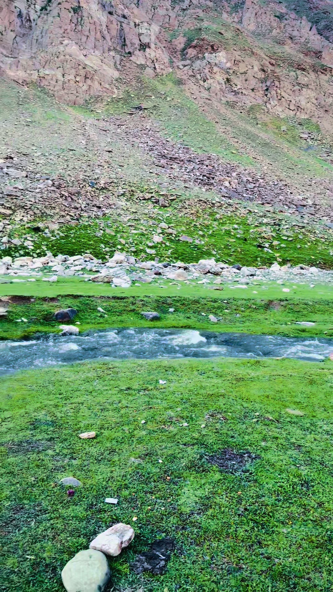 @تیمور خان ☠️