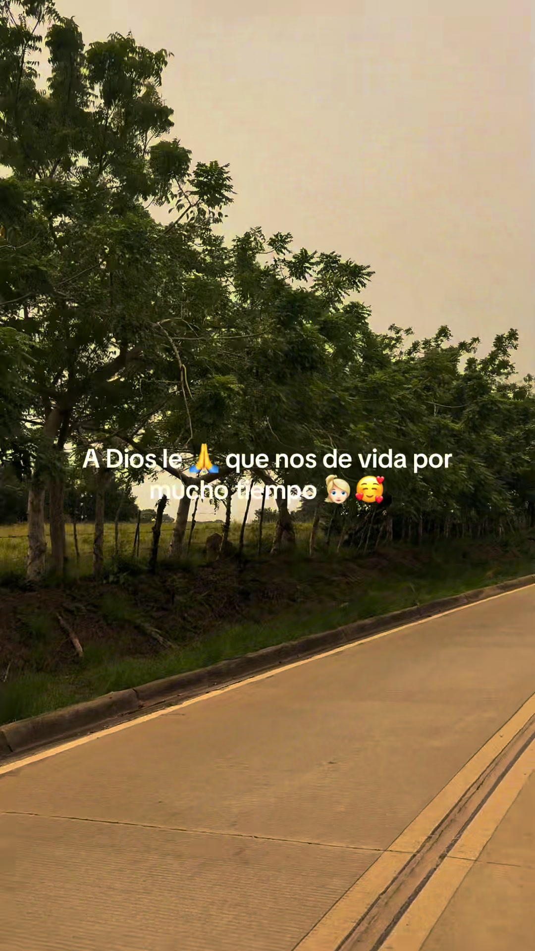 @EiverBaqueroContenidos