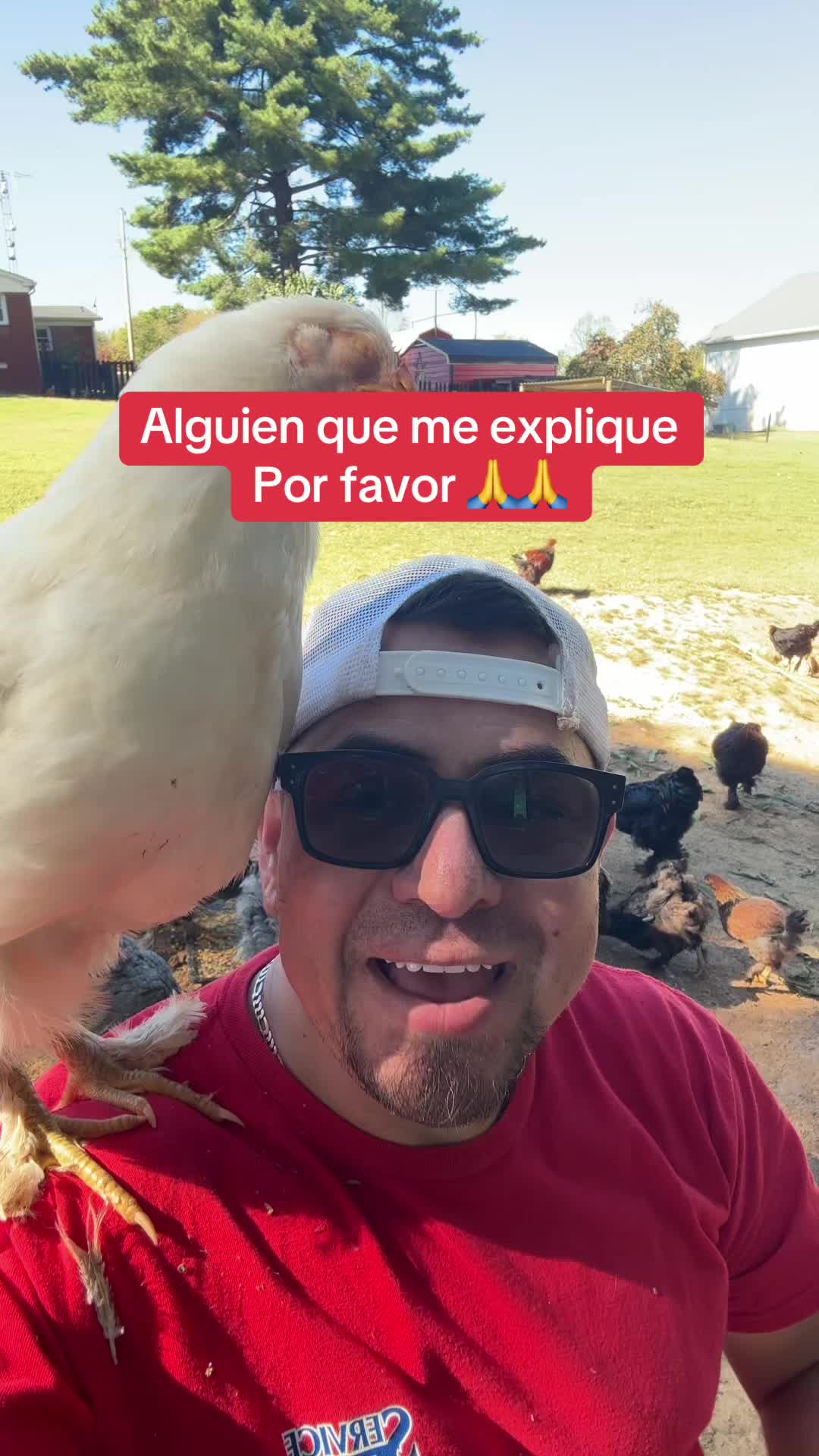 @WILSON DÍAZ