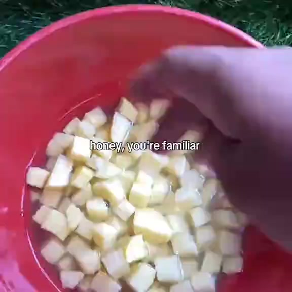 @𝚊𝚕𝚊𝚖𝚜𝚢𝚊𝚑