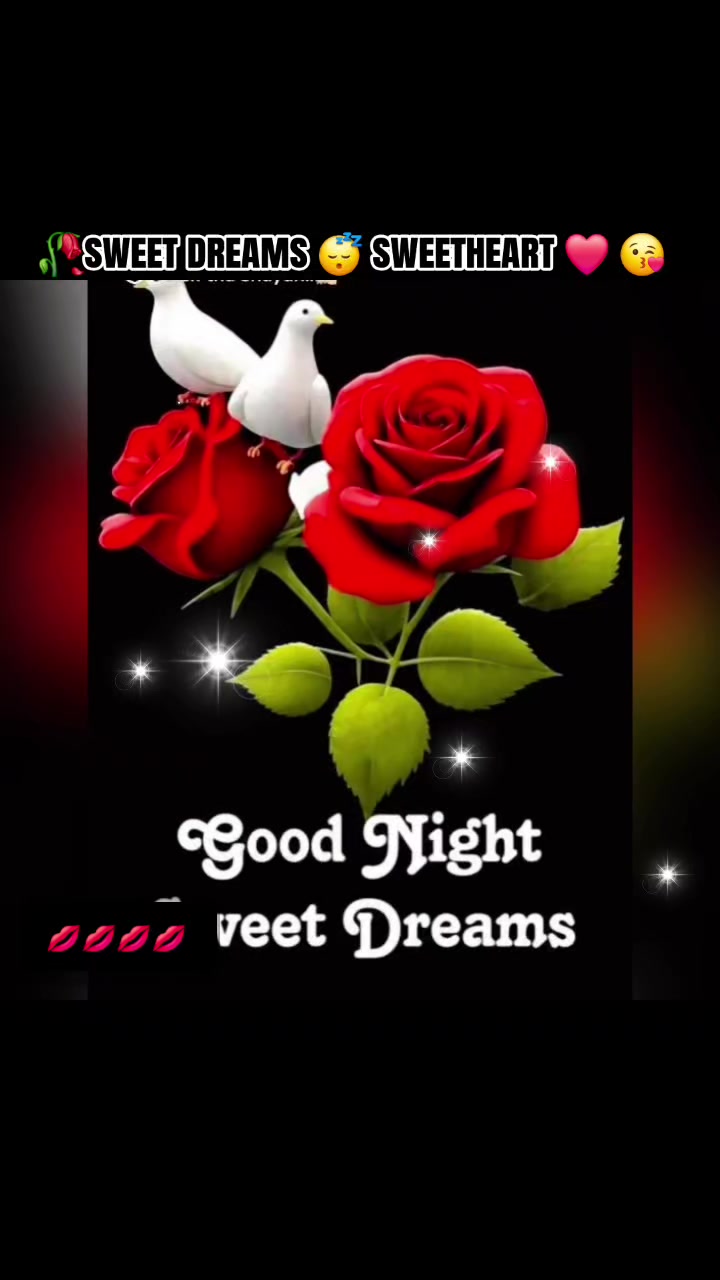 @@🥀MA.LA.I.KA❤️🦋256