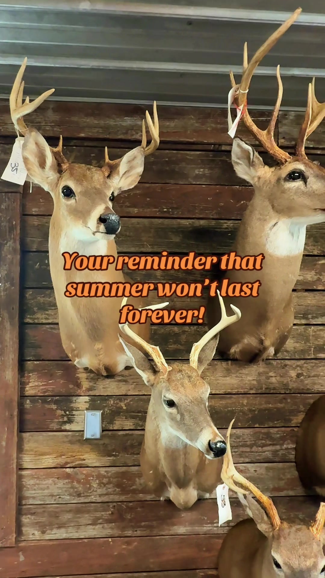 @🦌 Megabucks Outdoors 🦌