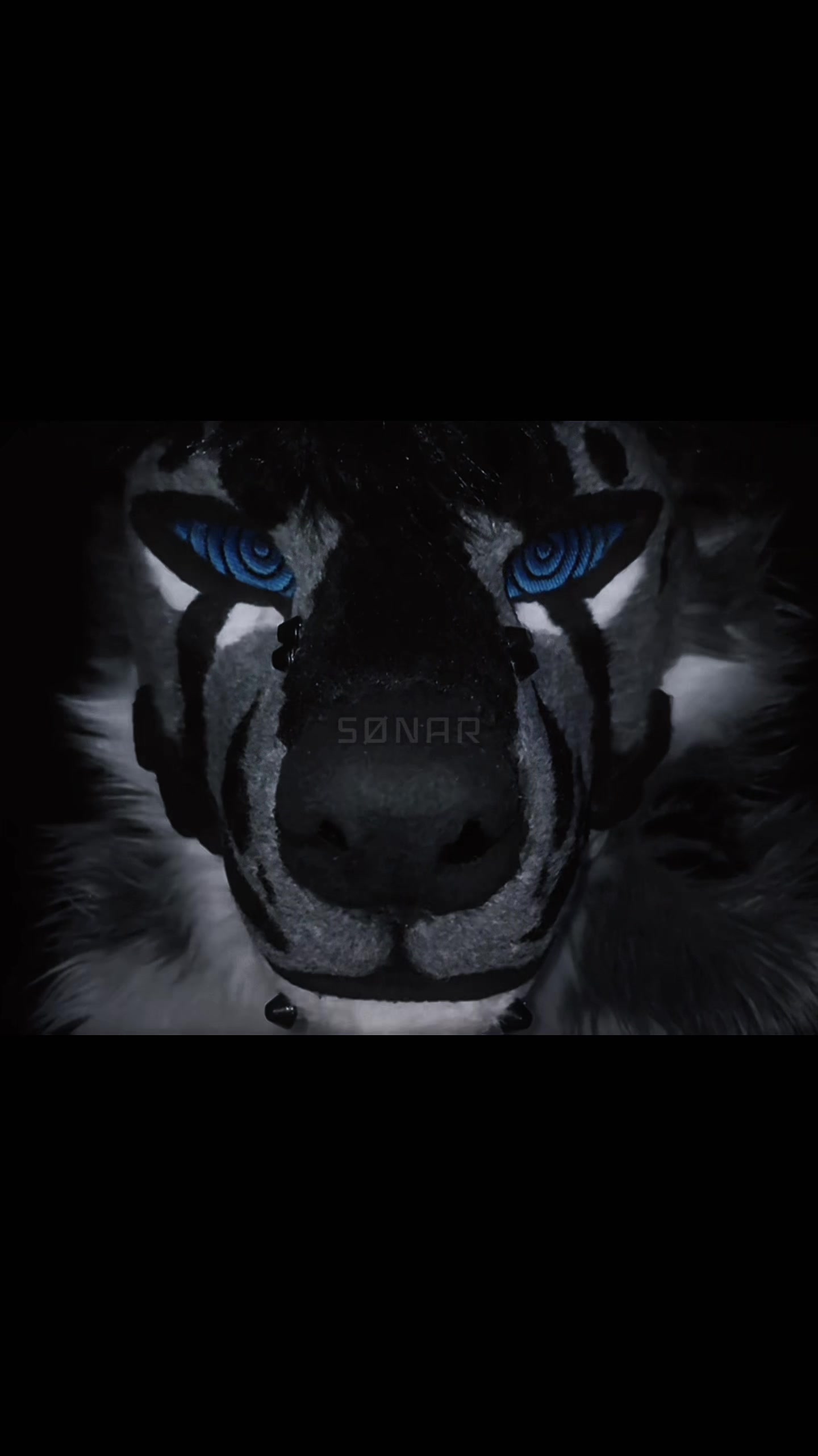 @sonar_hyena_shark
