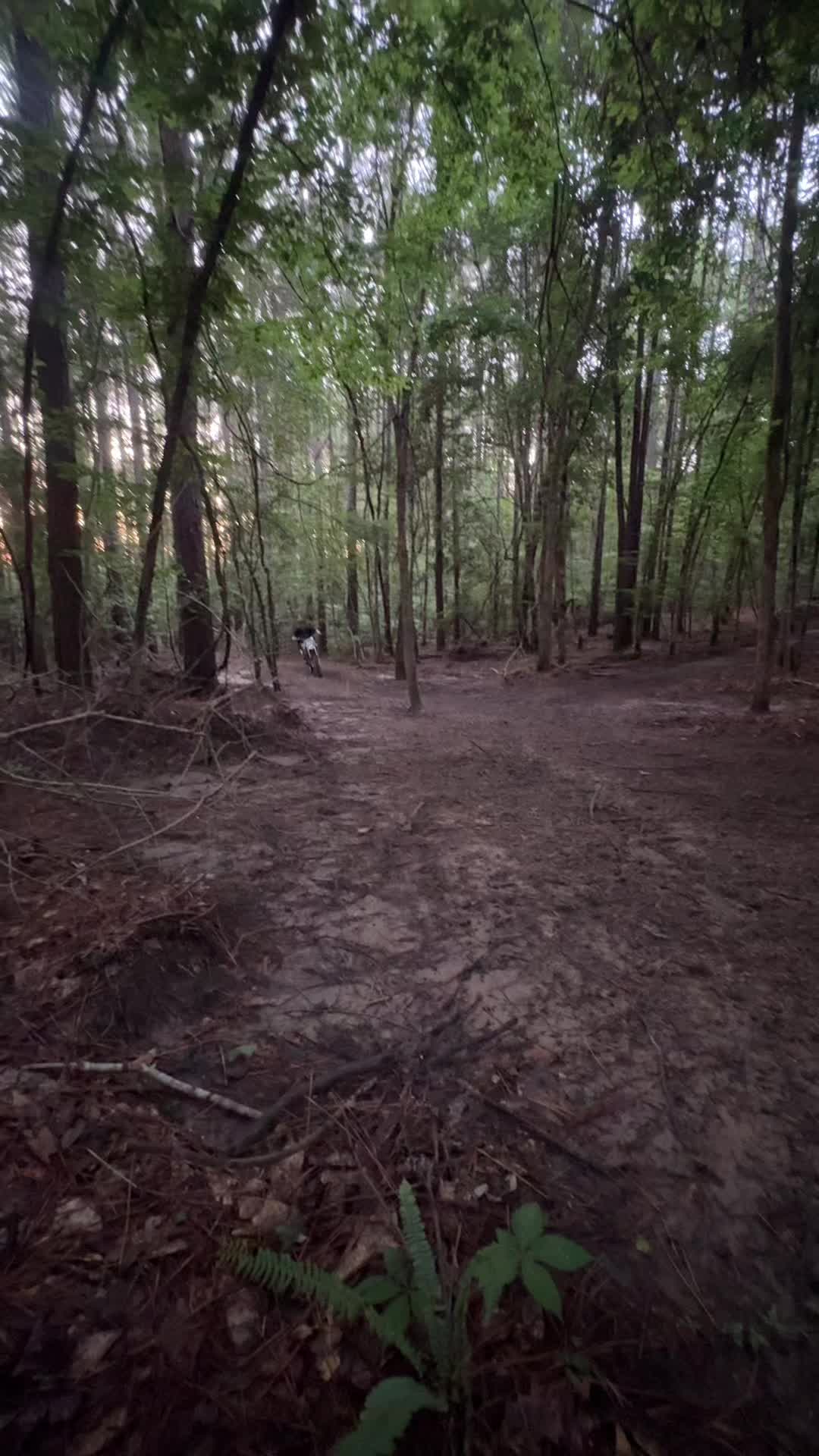@Minibikemancustoms