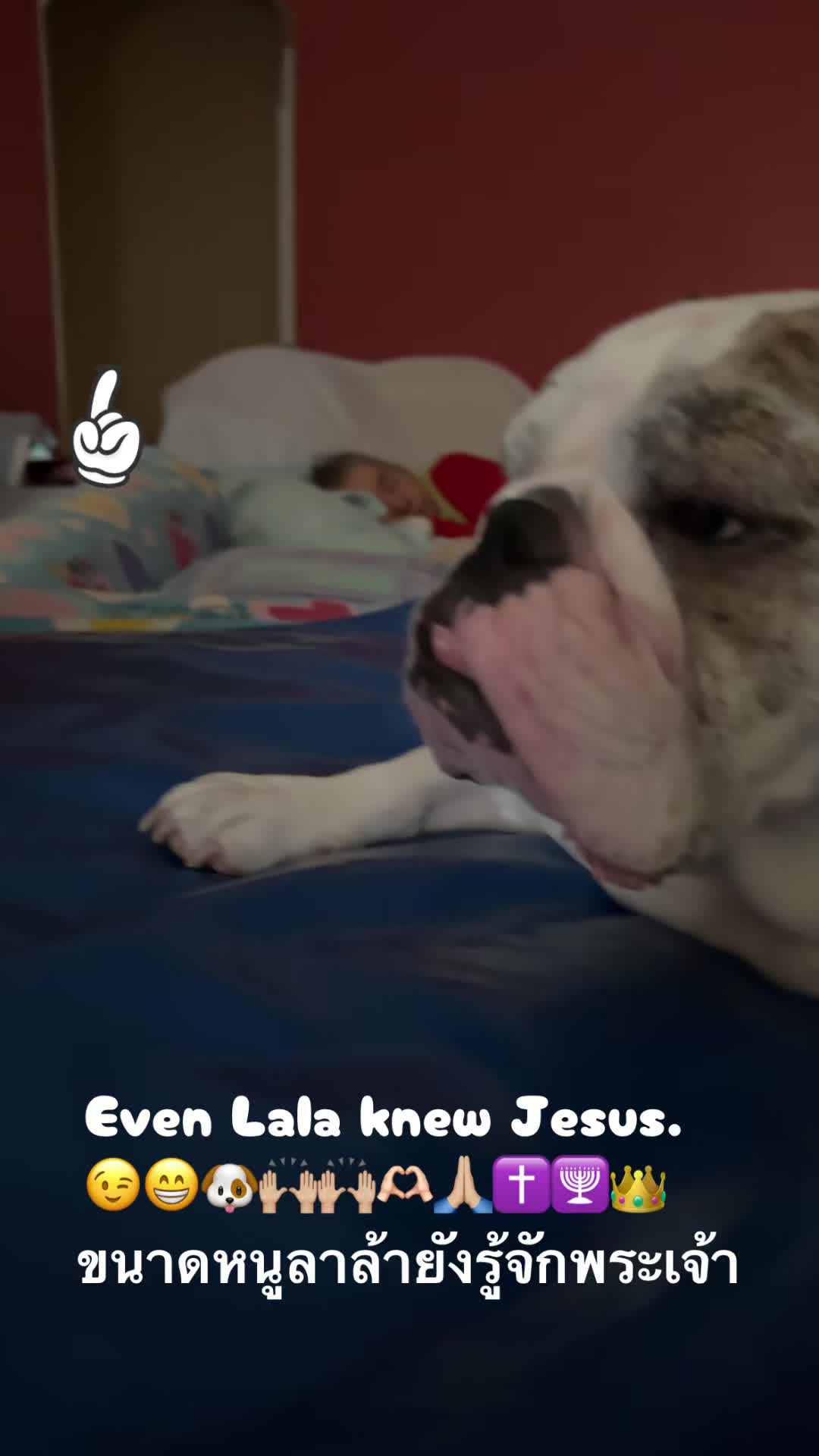@followjesuswonwon
