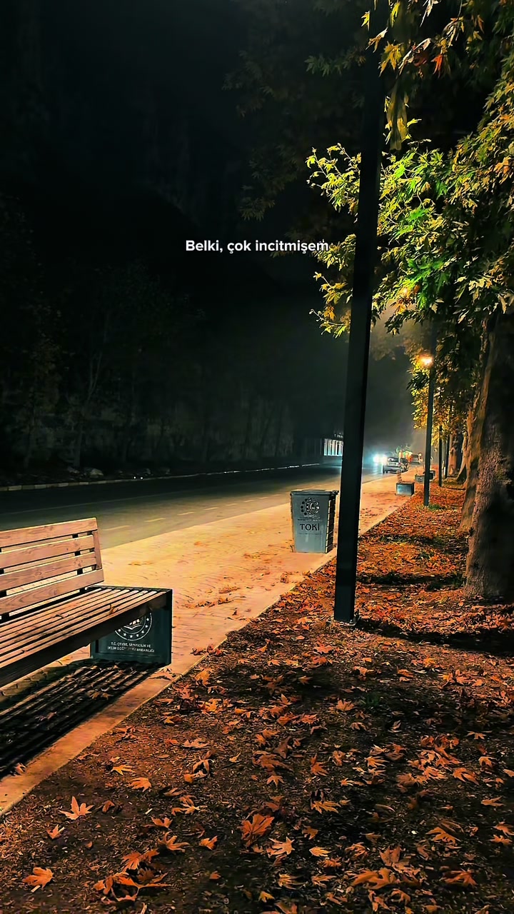@Eşref Arıkan