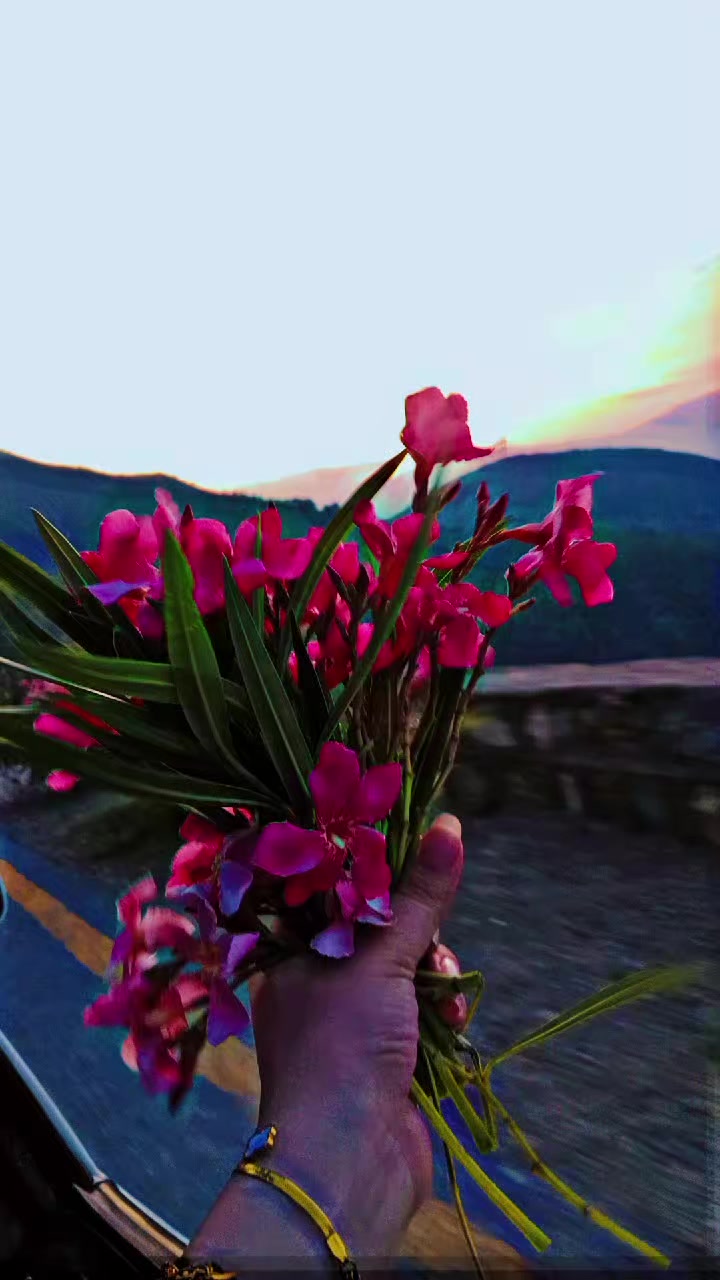@~🎀♡ 𝐀𝕟ġ𝖗𝘺Ḅ𝔦𝖗Ԁ𝒔 ♡🎀009