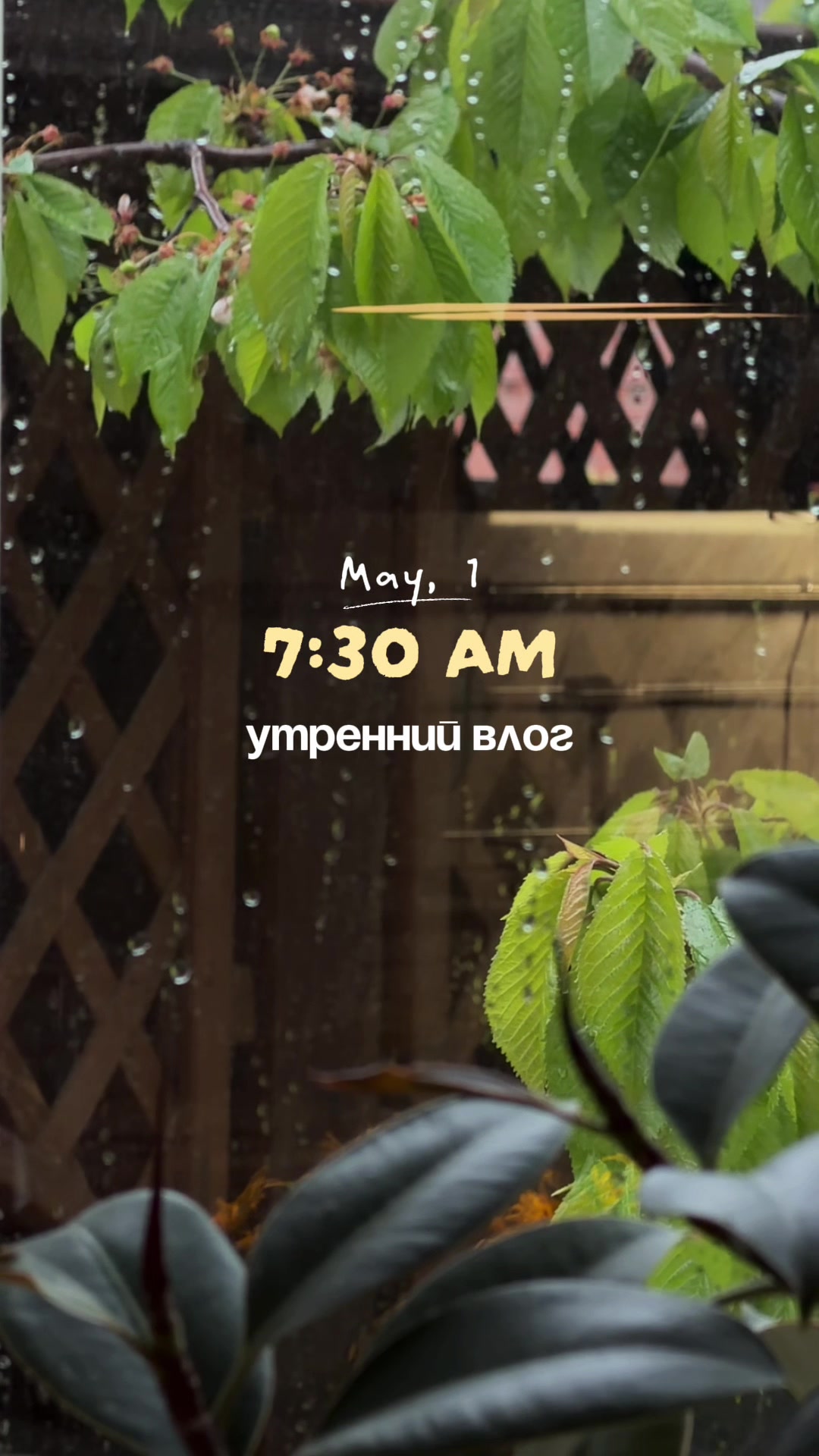 @just маша