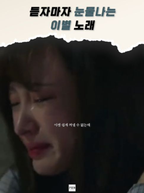 @일담플